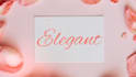 animate handwritten calligraphic text