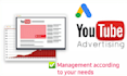 create, setup and optimize youtube ads campaign for leads