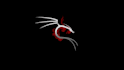 train you in cybersecurity using kali linux and windows