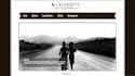 build 5 to 10 pages of your wordpress website
