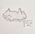 draw you an illustrated map, by hand