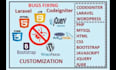 fix wordpress, CSS, HTML, jquery, and PHP errors
