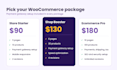build a professional woocommerce store with payment gateway