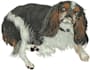 do embroidery digitizing logo into dst pes pxf an hour
