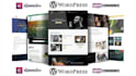 be your web developer and programming expert