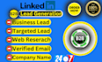 provide targeted b2b leads and email list building