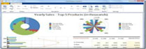 generate useful reports for you from your database systems