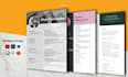 make perfect cv and resume design for you