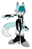 draw your sonic oc