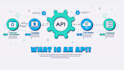 develop restful apis using laravel with sanctum auth