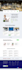 design and redesign a word press website