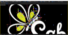 create custom logo animation video