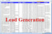 do fast excel data entry, copy paste, virtual assistant, and lead generation