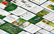 create powerpoint template design, medical powerpoint or improve powerpoint