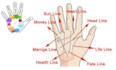 do a palmistry and astrology combined physic reading and predict your  future