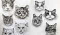 draw your pet portrait drawings