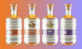 design professional wine, gin, vodka, and beer bottle labels