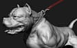 sculpt 3d animal model animal animation animal character chibi for 3d printing