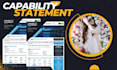 create a professional capability statement within 6 hour