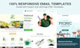 design responsive HTML email templates within 6 hours