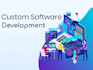 develop custom web apps and softwares