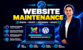 handle wordpress or joomla website backup, updates, upgrades and migration