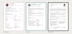 write professional federal resume and presentations