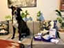create an unboxing ugc video for your digital marketing