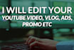 do professional video editing for youtube and facebook
