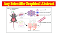 create scientific illustrations, graphical abstract, posters