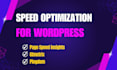 speed up wordpress website or google page speed optimization