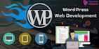 be wordpress website developer and video editor