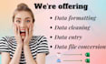 do excel data formatting, data entry, PDF and images to excel data conversion