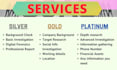 be your digital analyst detective, investigations, background check