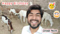 wish happy birthday and sing happy birthday song funny style