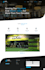 create a stunning  elementor and divi website