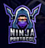 design a professional modern ninja logo