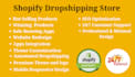 build shopify dropshipping store shopify website