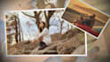 make slideshow videos and photo slideshow professionally
