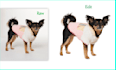 dog hair masking and  remove background product retouch