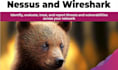 do wireshark analysis and report