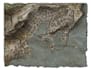 draw dnd, rpg, or fantasy city or town maps
