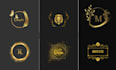 create elegant, luxury, monogram logo