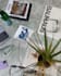create aesthetic lifestyle content for your brand