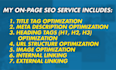 do complete on page SEO optimization service for wordpress website using yoast
