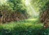 do environment concept art background for games movies books