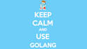 fix bugs in your golang project