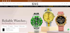 build ecommerce store using wordpress woocommerce website online store