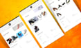 be your mern stack developer and make mern stack websites