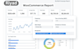 provide woocommerce SEO services to increase organic sales